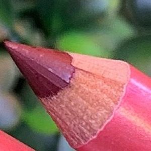 Unforgettable Rose Lip Liner